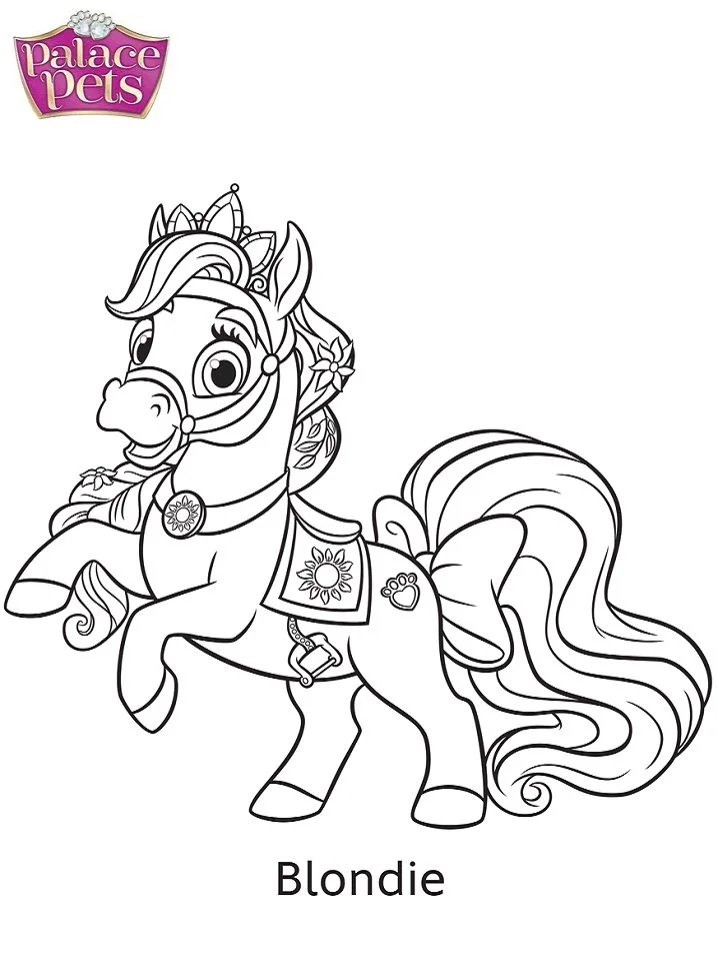 Palace Pets para colorir 32