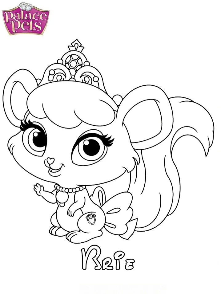 Palace Pets para colorir 44