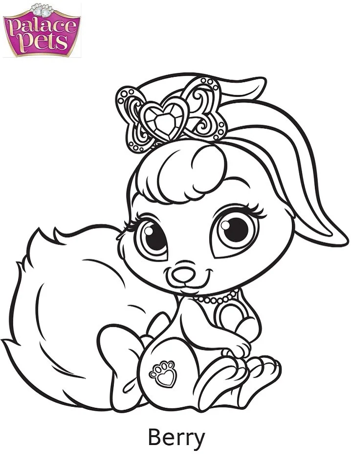 Palace Pets para colorir 47