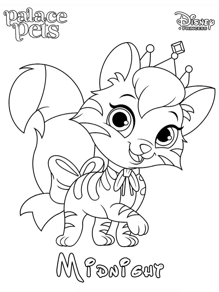 Palace Pets para colorir 56