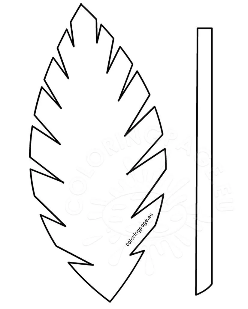 Desenhos de Folha de Palmeira Para Colorir 1