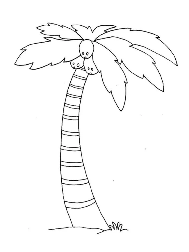 Desenhos de Folha de Palmeira Para Colorir 17