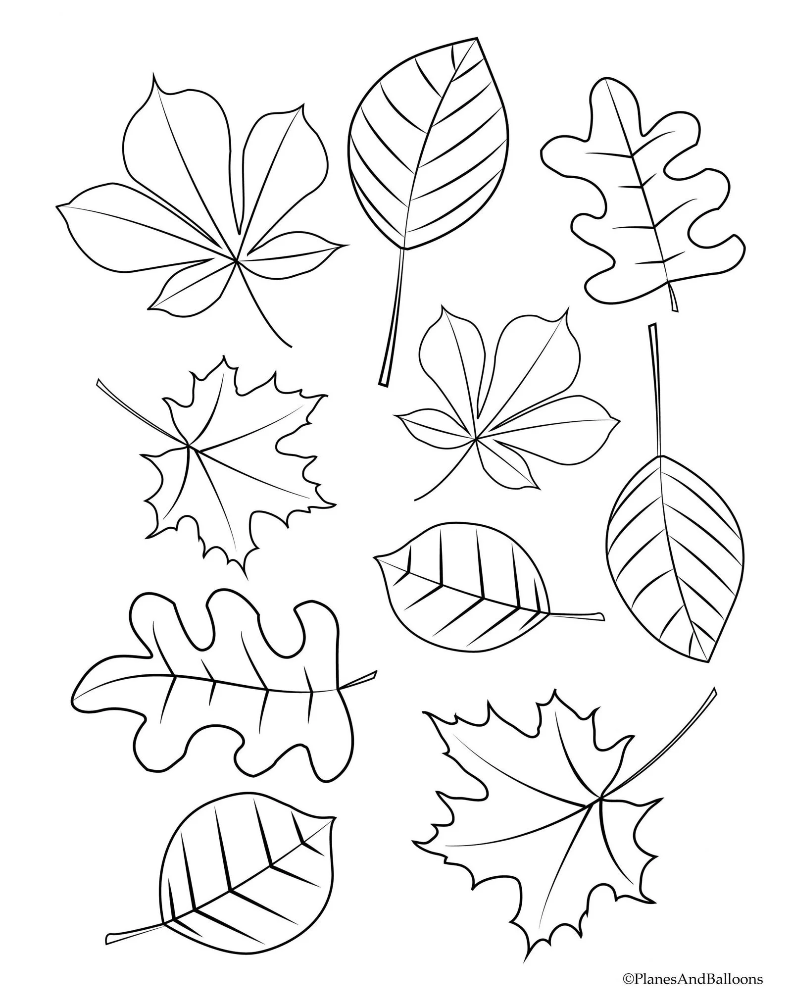 Desenhos de Folha de Palmeira Para Colorir 28