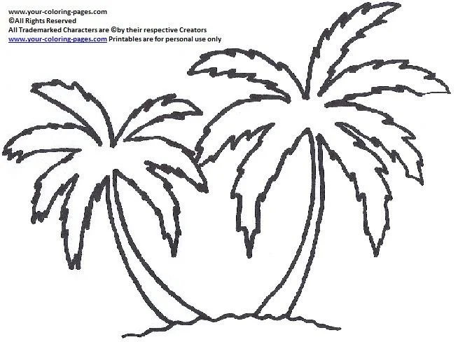 Desenhos de Folha de Palmeira Para Colorir 32