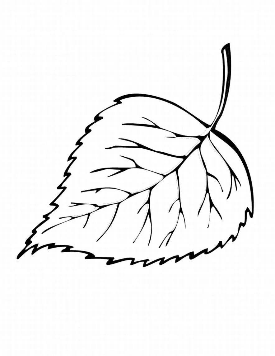 Desenhos de Folha de Palmeira Para Colorir 35