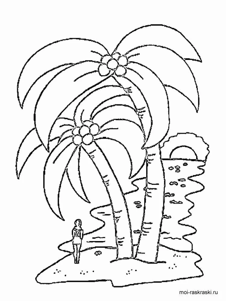 Palm Leaf Coloring Pages