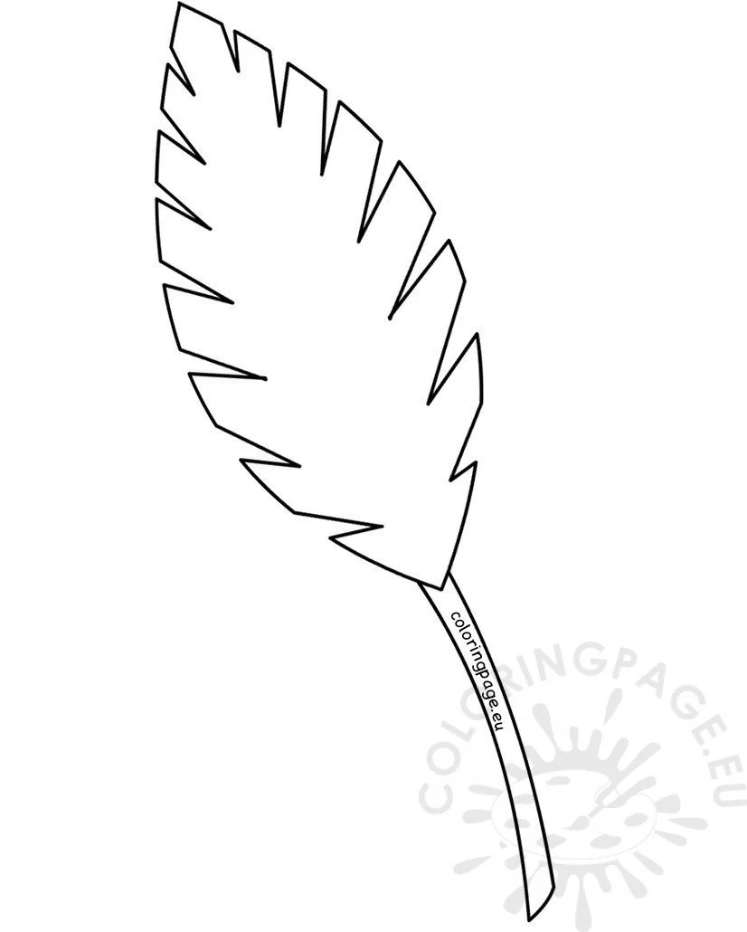 Desenhos de Folha de Palmeira Para Colorir 9