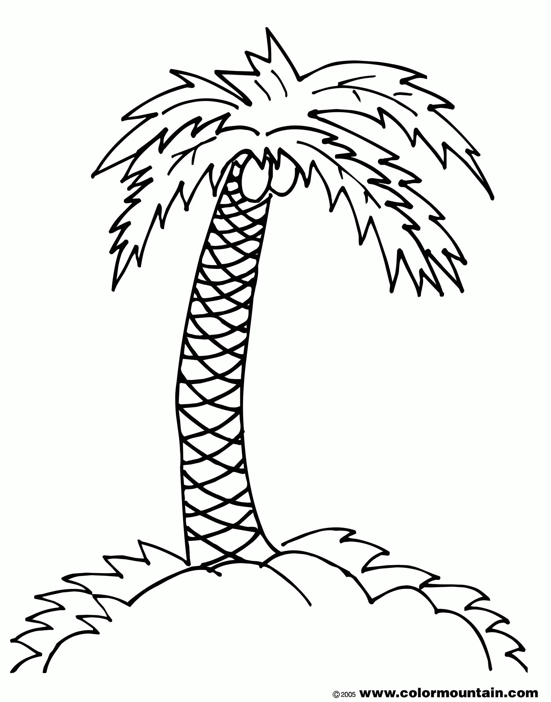 Palm Tree Coloring Pages 11