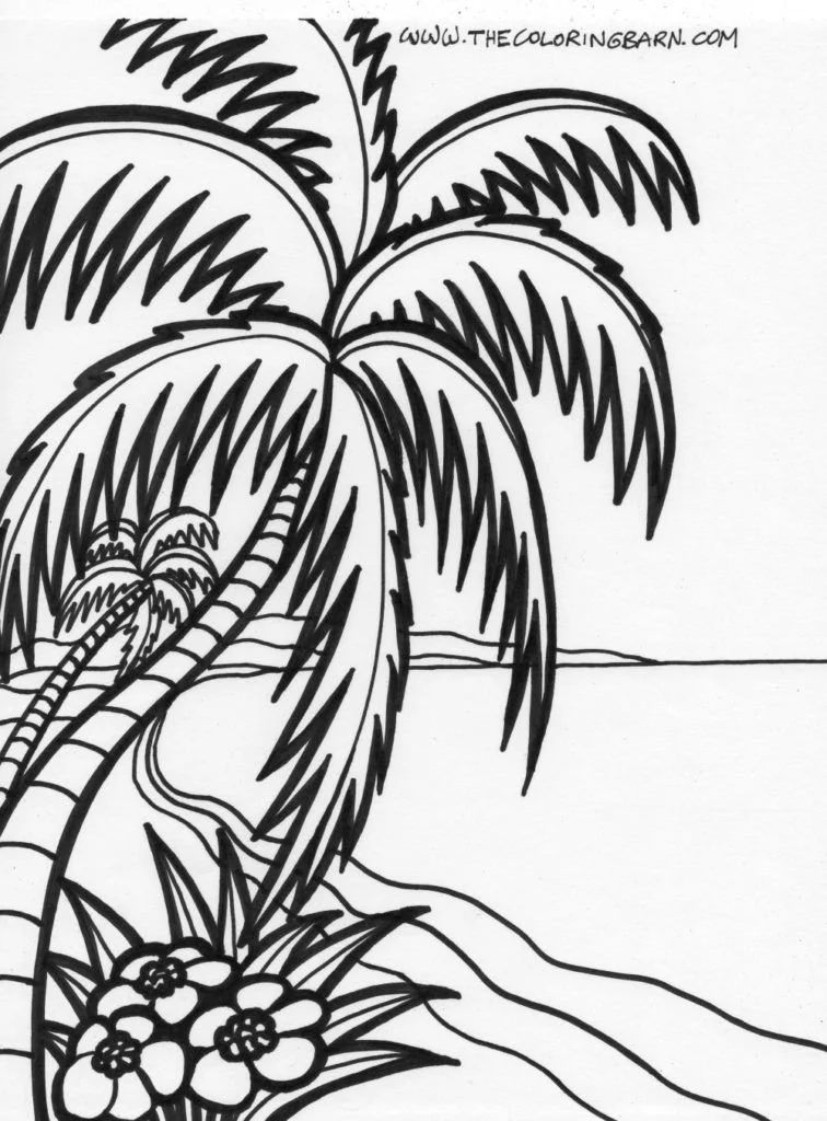 Palm Tree Coloring Pages 13