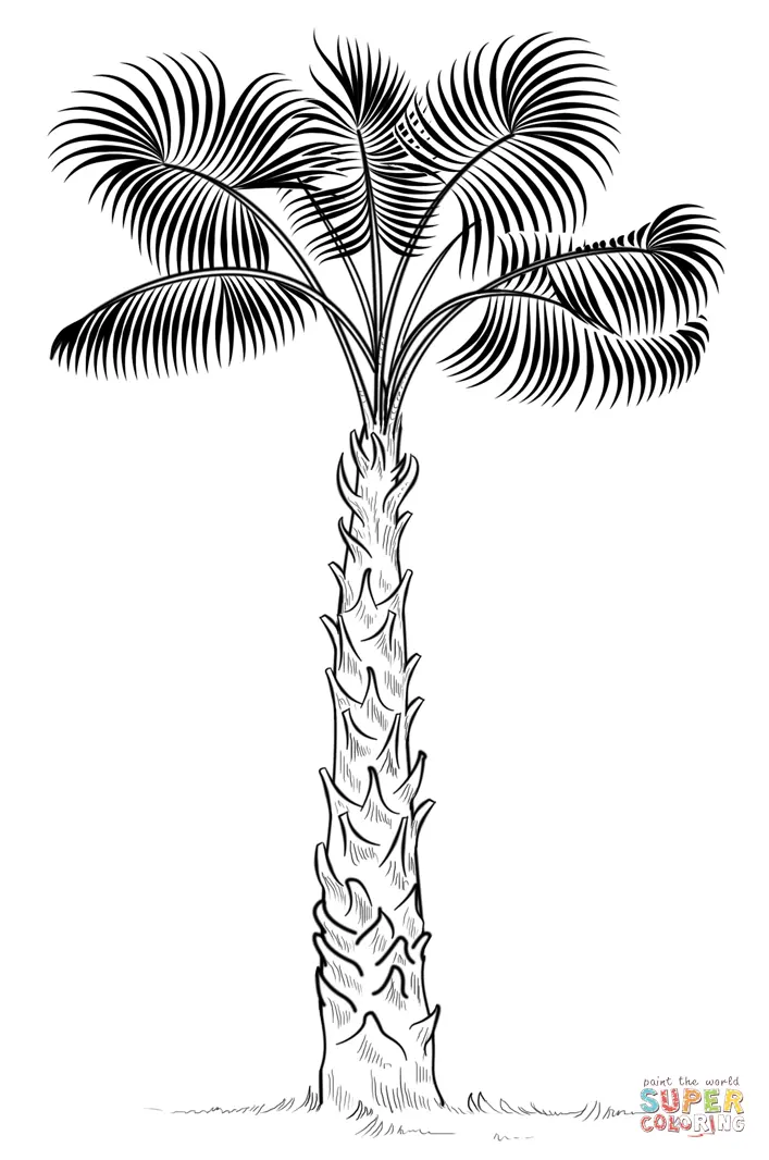 Palm Tree Coloring Pages 18