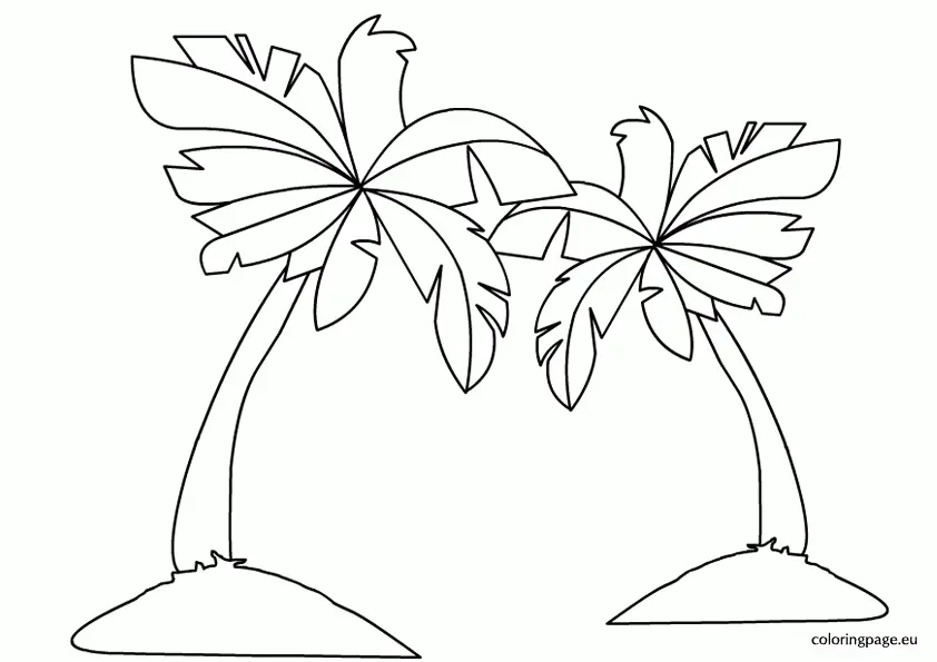 Palm Tree Coloring Pages 19