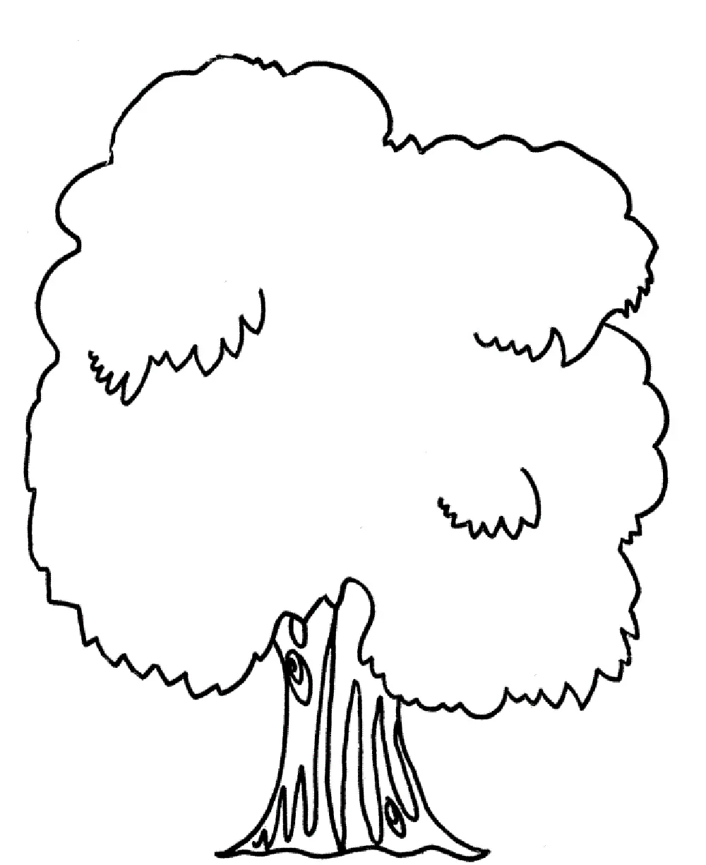 Palm Tree Coloring Pages 25