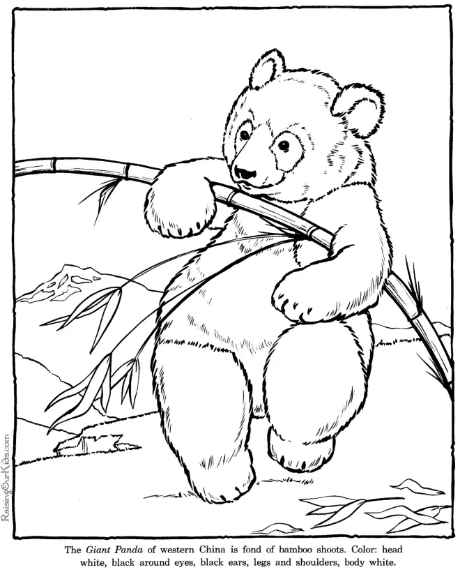 Panda Coloring Pages 6