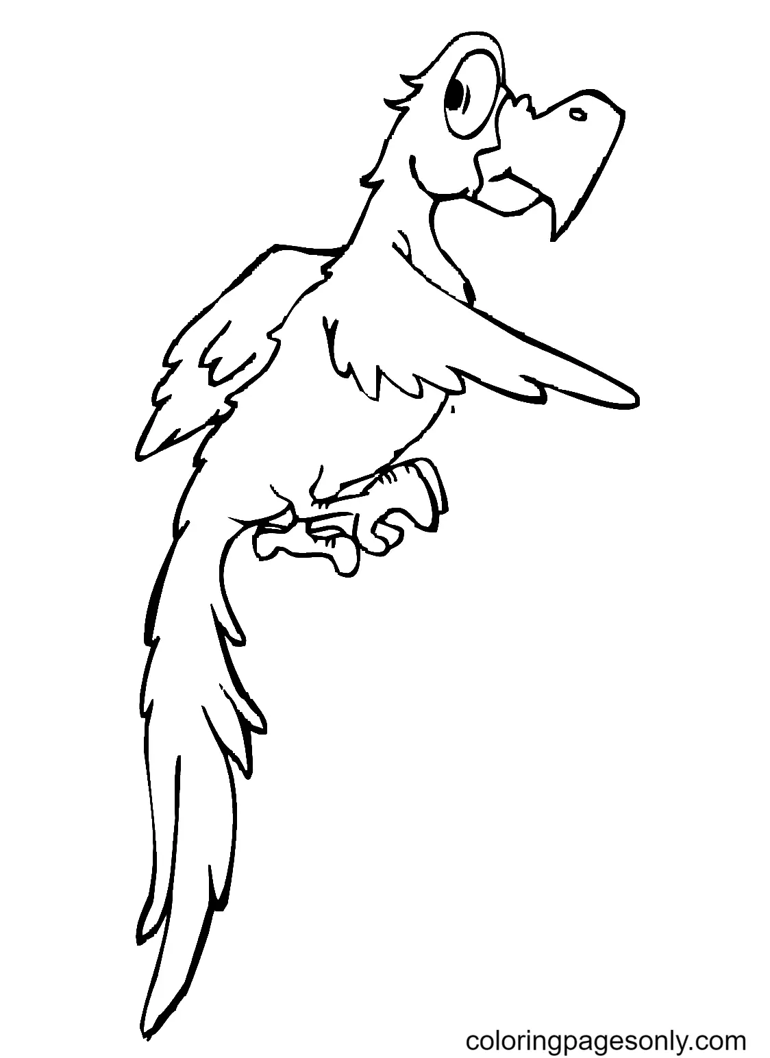 Parrot Coloring Pages