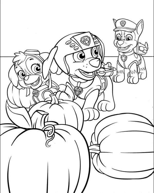Paw Patrol Coloring Pages 39