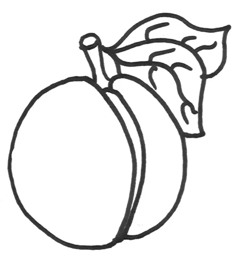 Pfirsich Ausmalbilder 13