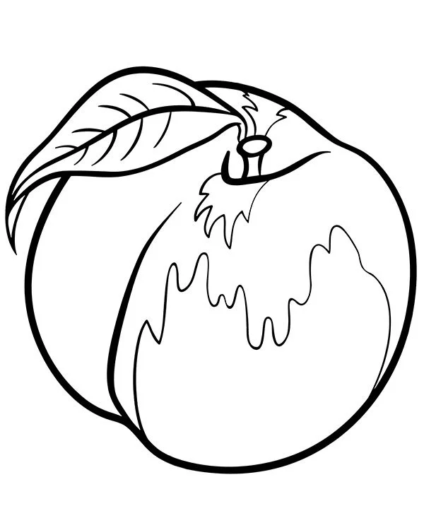 Pfirsich Ausmalbilder 5