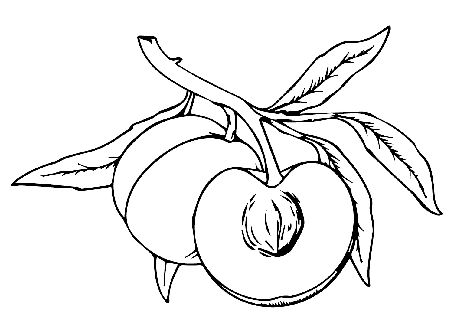 Peaches Coloring Pages 3