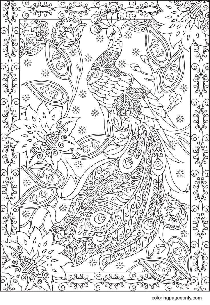 Peacock Coloring Pages 13