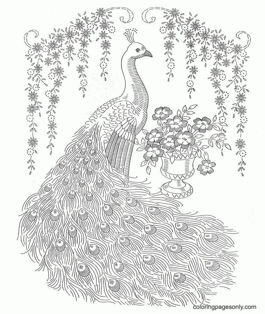 Peacock Coloring Pages 19