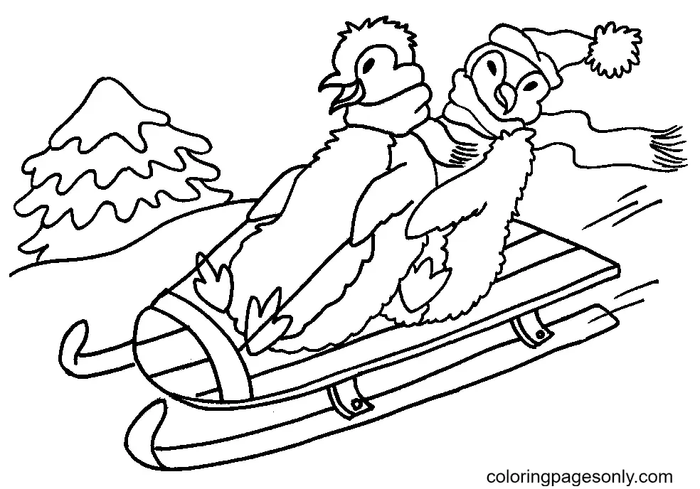 Penguin Coloring Pages 47
