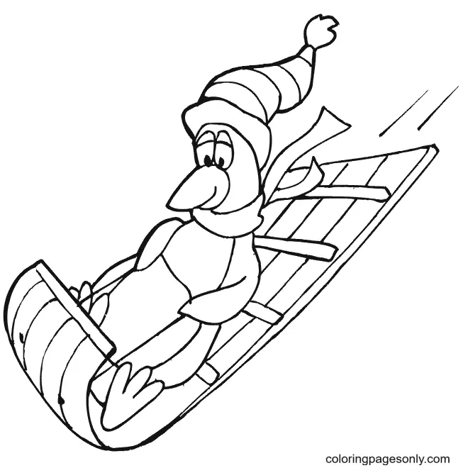 Penguin Coloring Pages 55