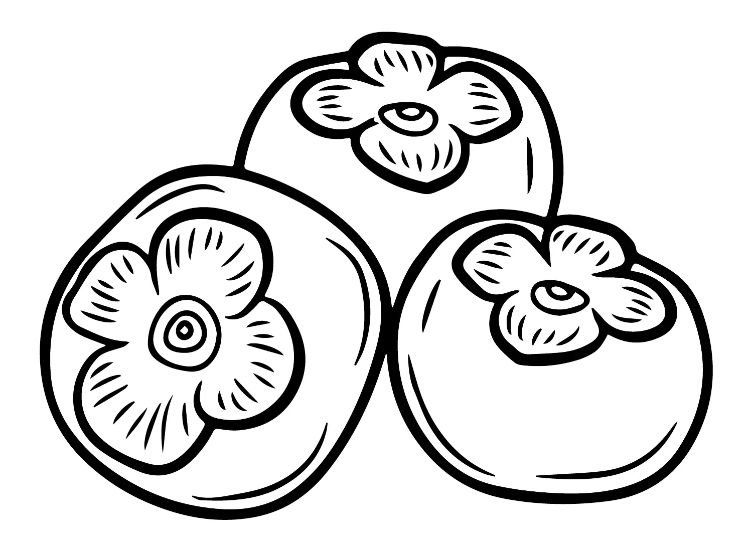 Persimmon Coloring Pages 1