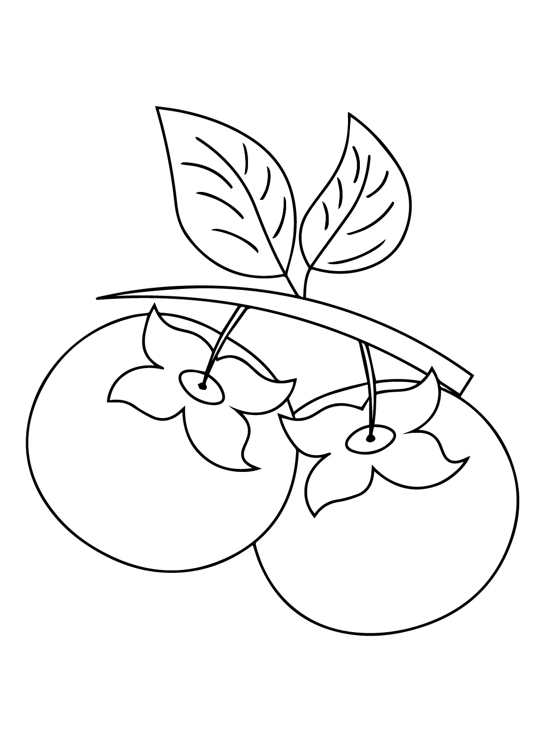 Persimmon Coloring Pages 17