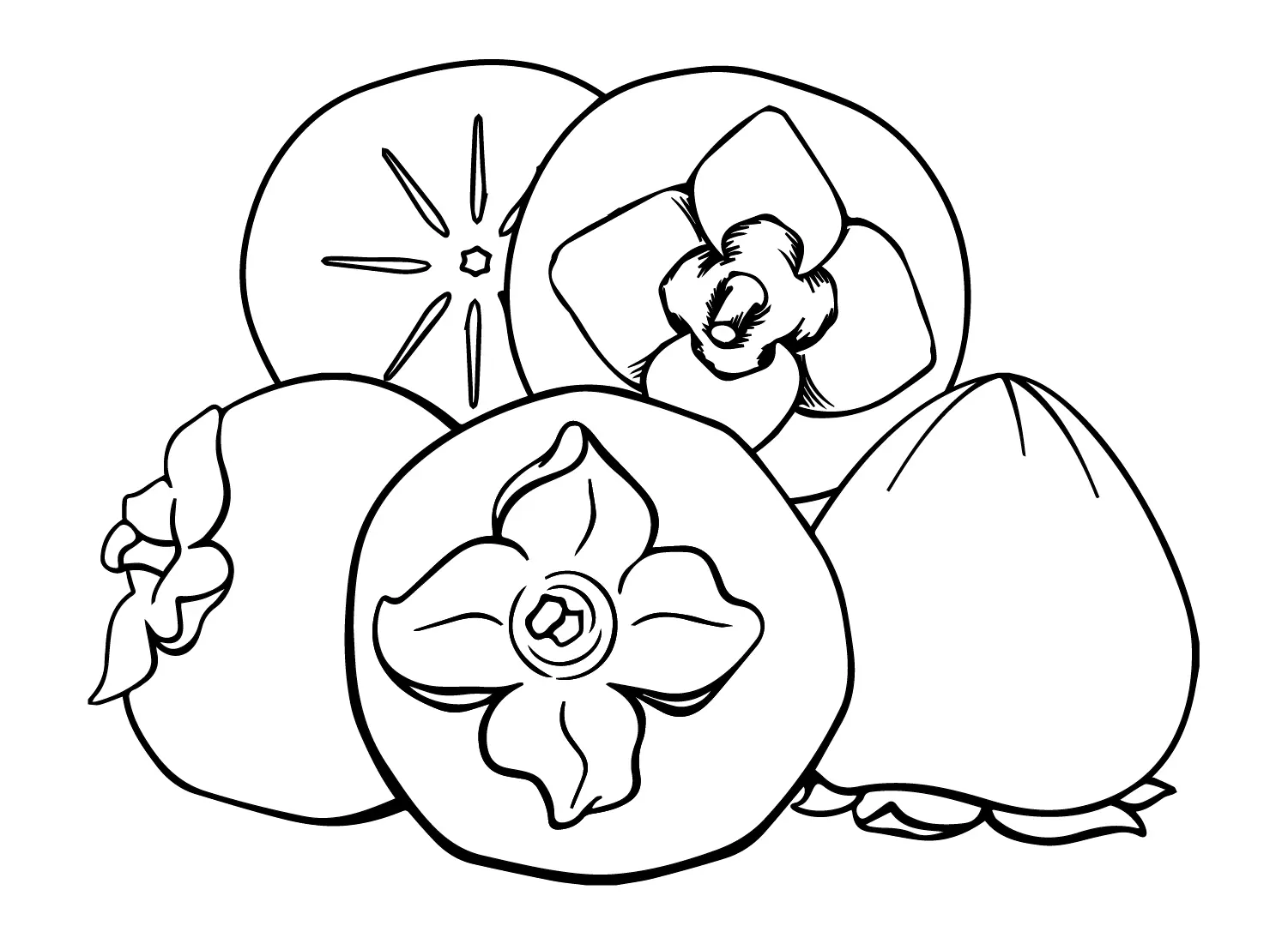 Persimmon Coloring Pages 23