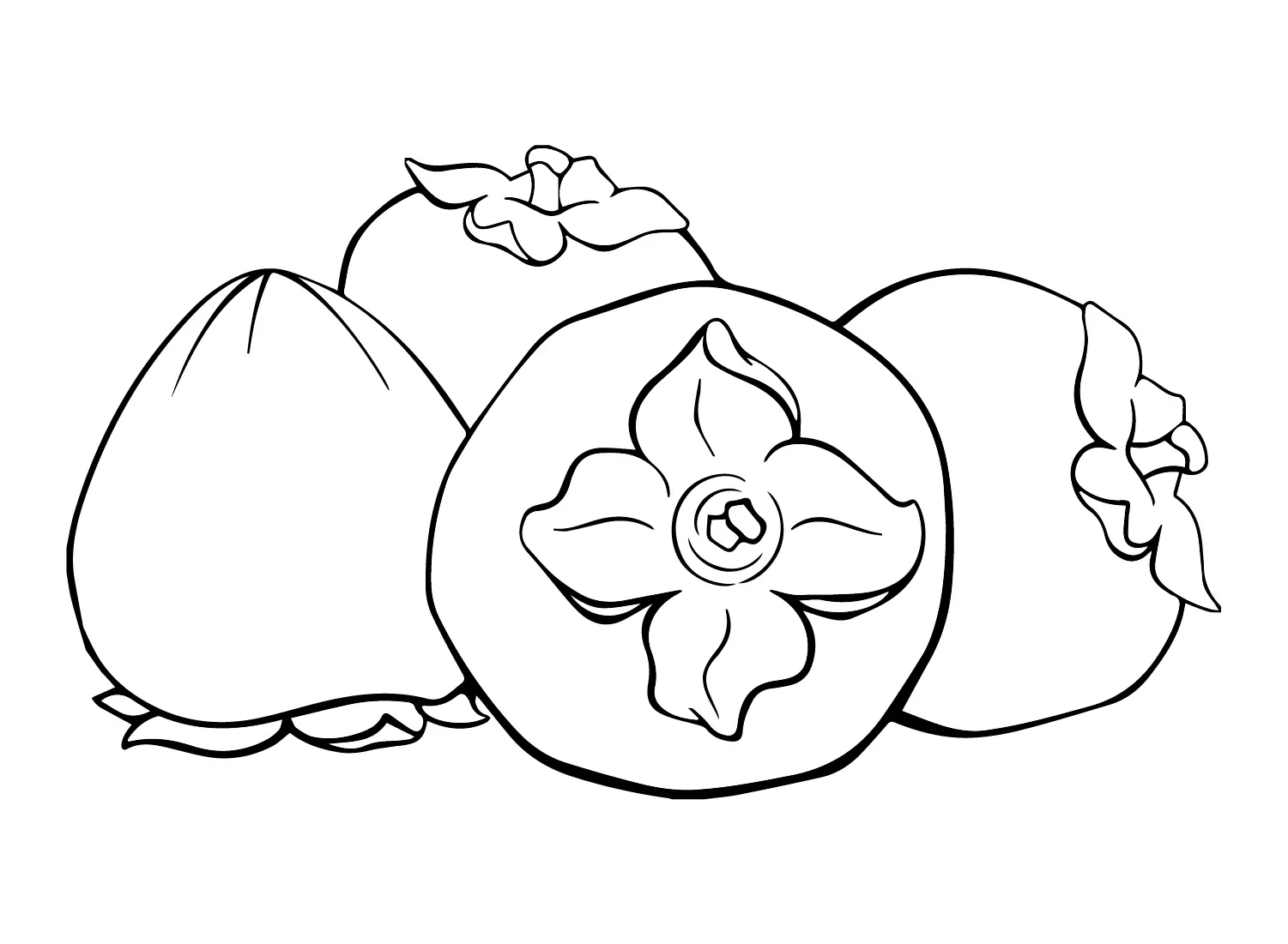 Persimmon Coloring Pages 24