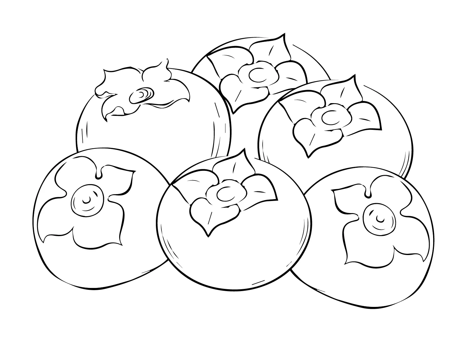 Persimmon Coloring Pages 9