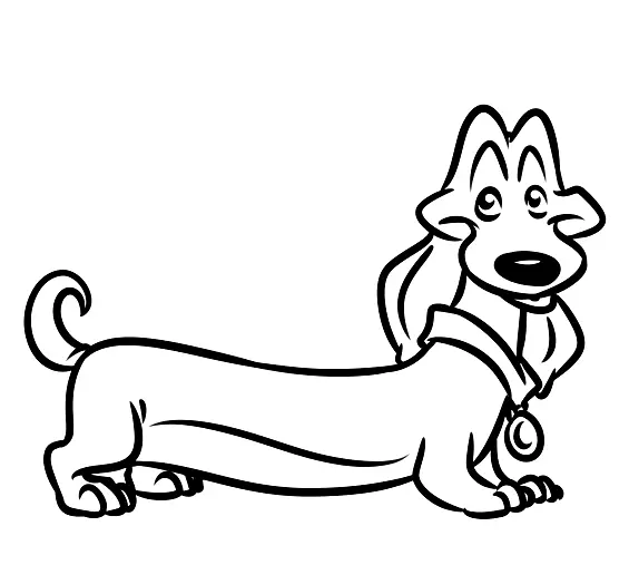 Pets Coloring Pages 24