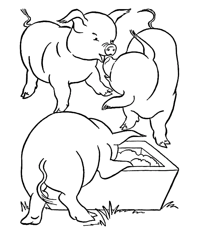 Pig Coloring Pages 36