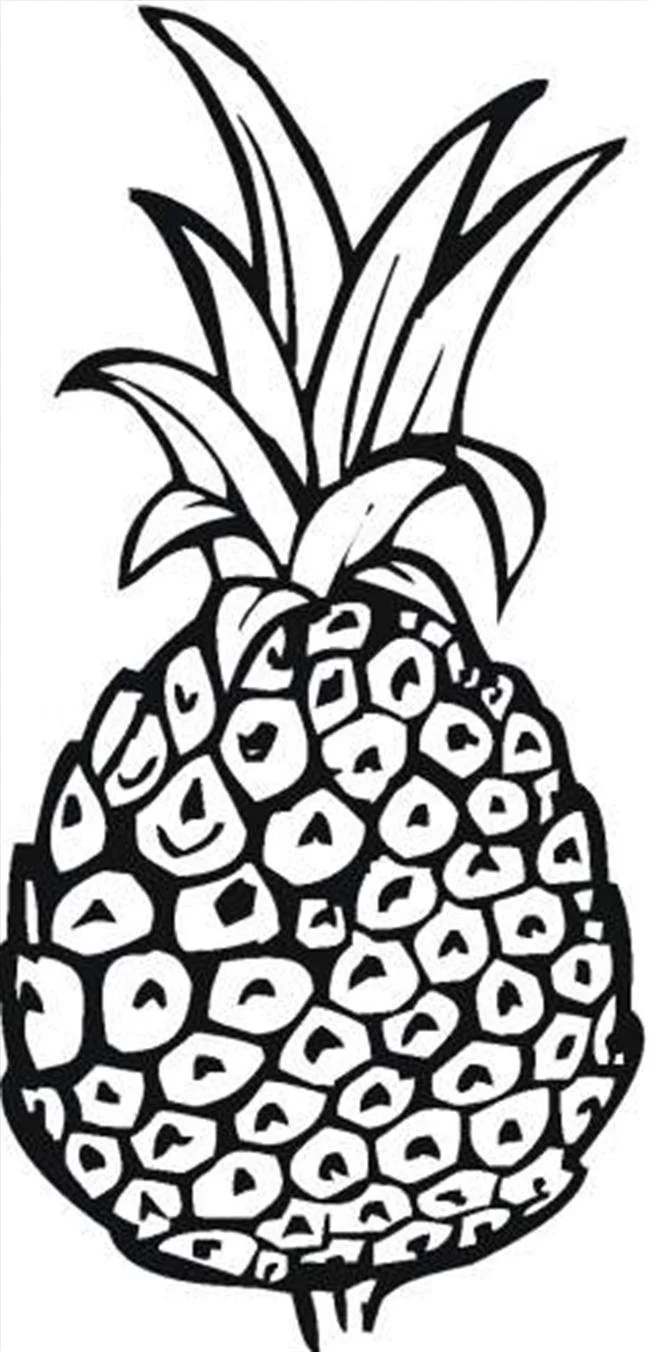 Pineapple Coloring Pages 17