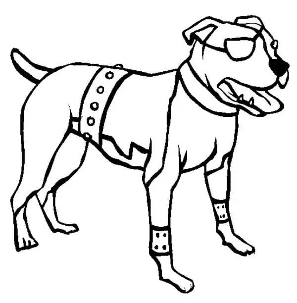 Pitbull Ausmalbilder 20