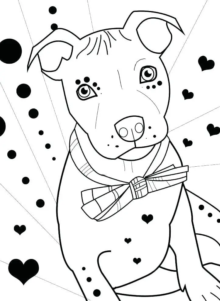 Pitbull Ausmalbilder 22