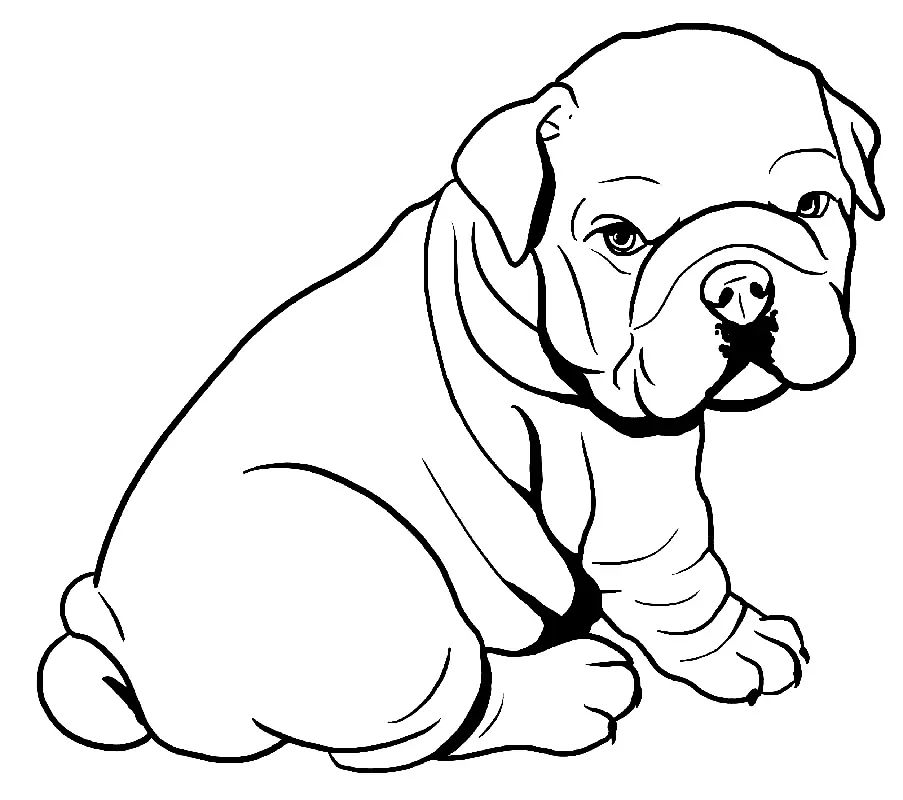 Pitbull Ausmalbilder 3