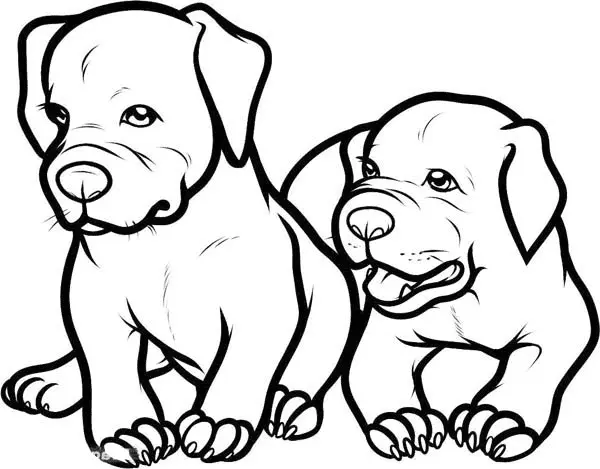 Pitbull Ausmalbilder 5