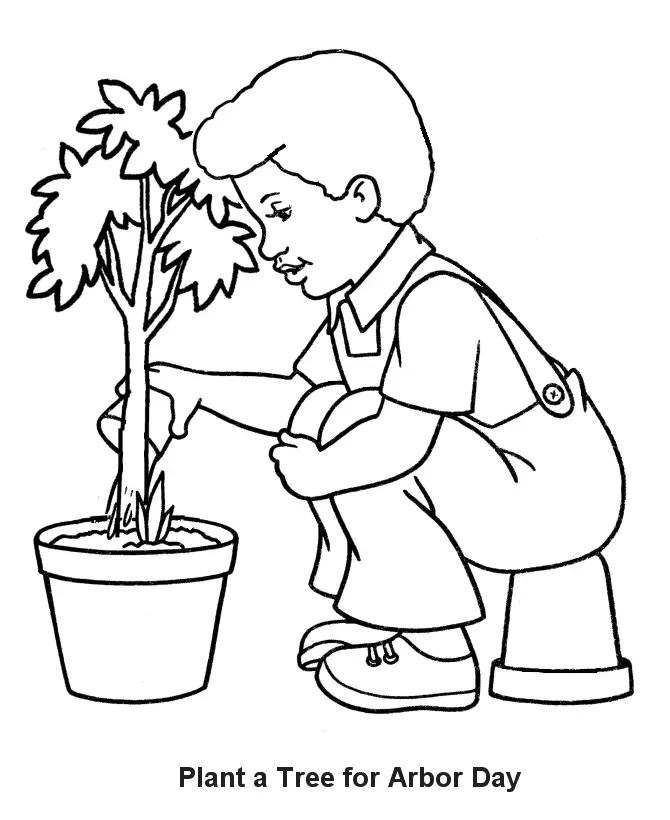Plantas Para Colorear 14