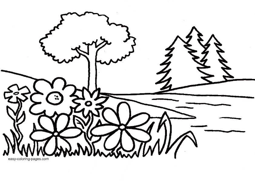 Plantas Para Colorear 23