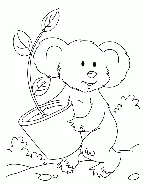 Plantas Para Colorear 25