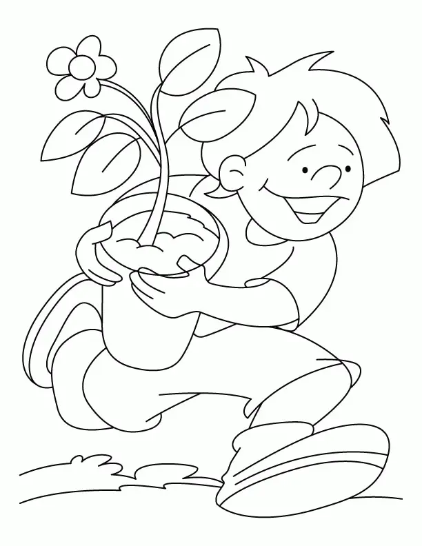 Plantas Para Colorear 28