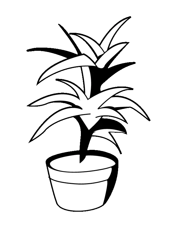 Plantas Para Colorear 31