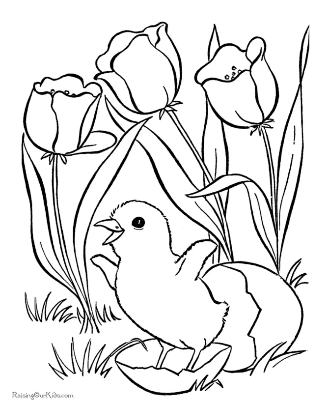 Plantas Para Colorear 32