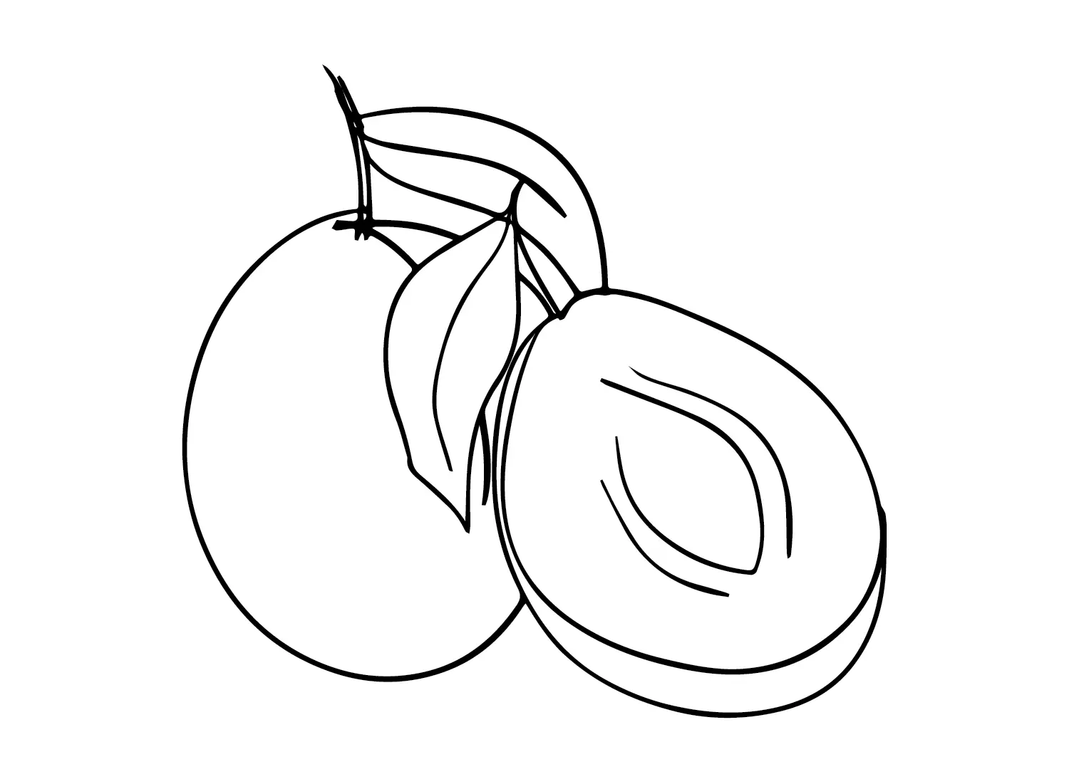 Ausmalbilder Pflaumen 10