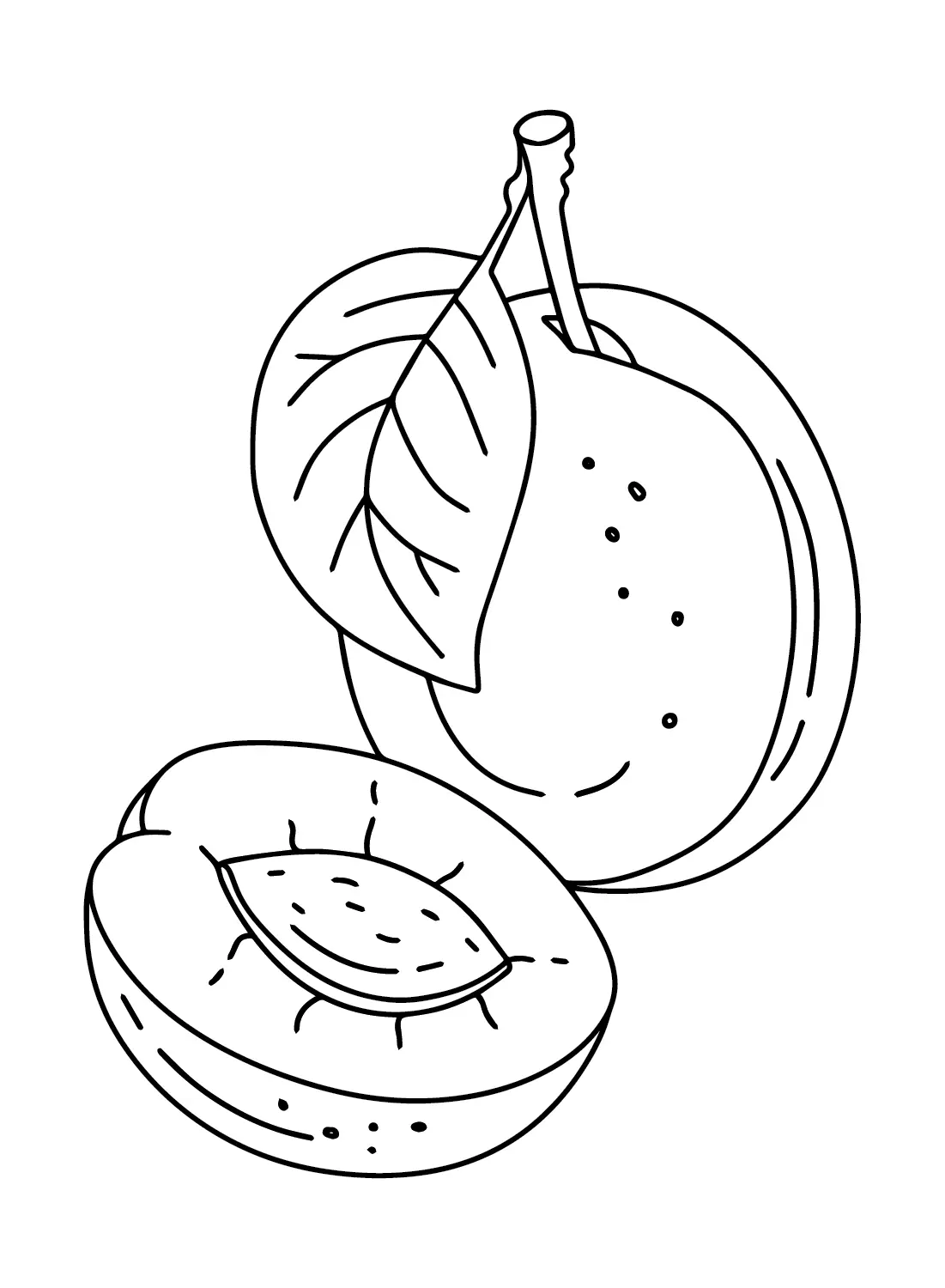 Ausmalbilder Pflaumen 16