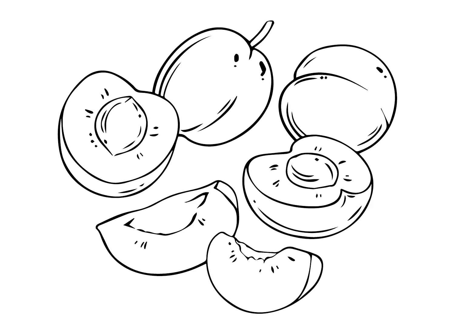 Ausmalbilder Pflaumen 21