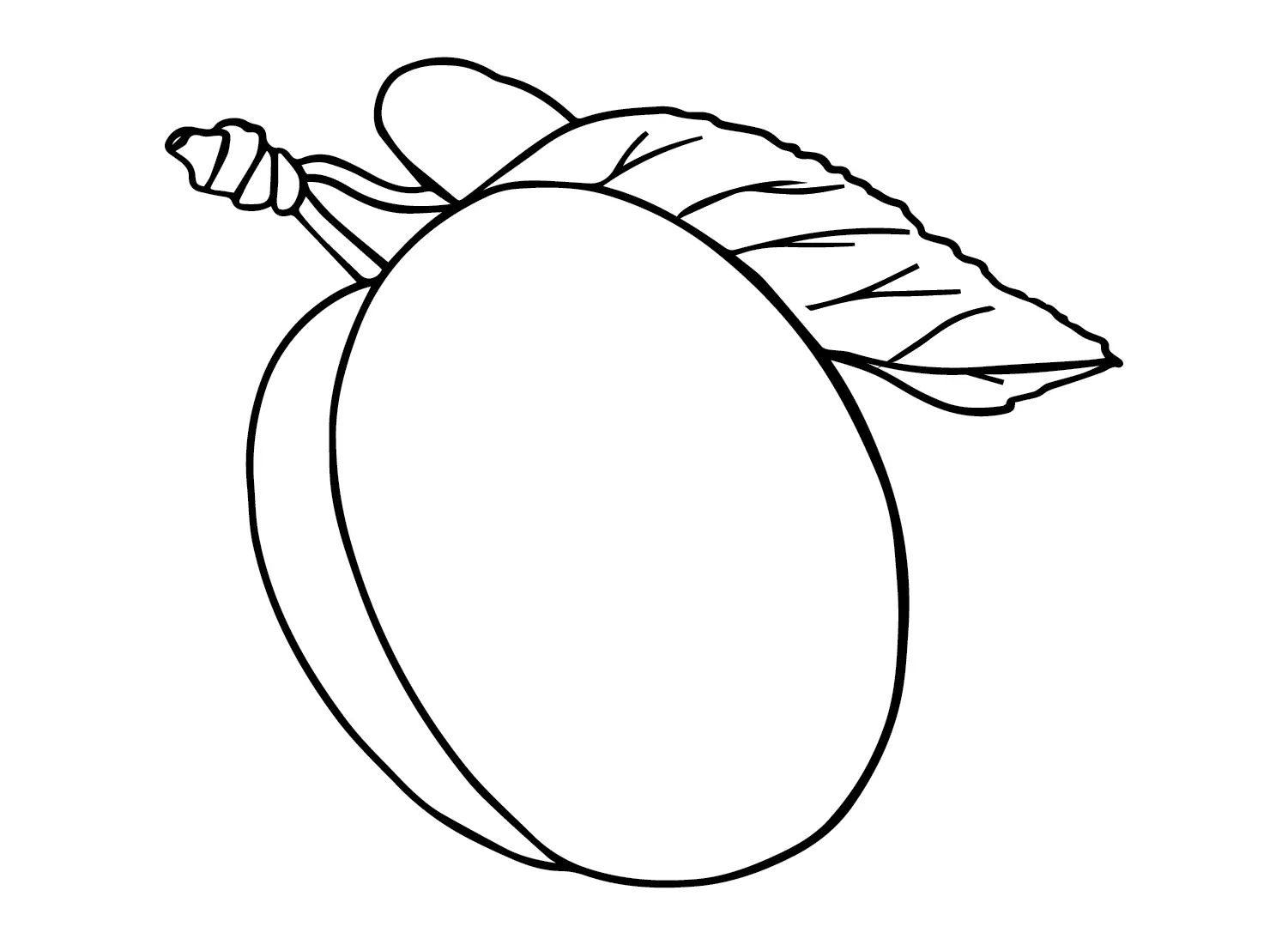 Ausmalbilder Pflaumen 4