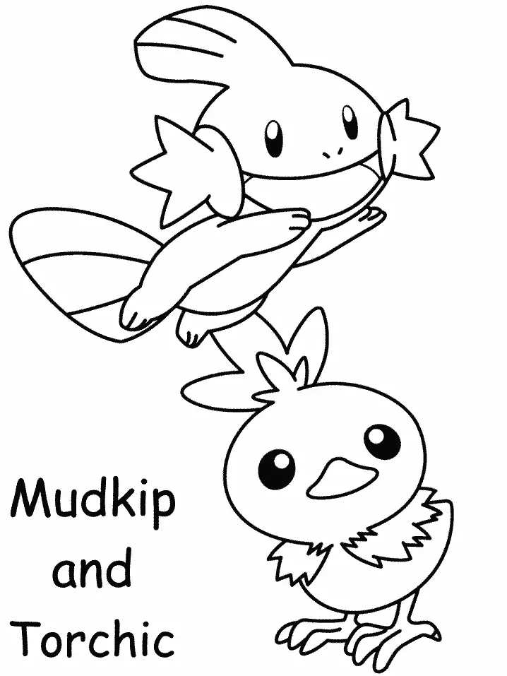Pokemon Ausmalbilder 24