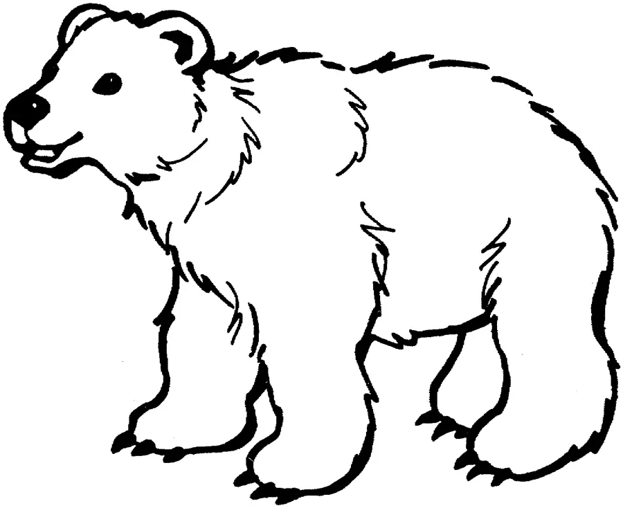 Eisbär Ausmalbilder 14